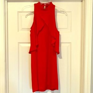 Red sleeveless Zara Woman dress